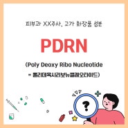 요즘 유행하는 시술이나 고가 화장품에 꼭 들어가는 연어성분 PDRN