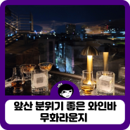 대구 와인바 추천 앞산 카페거리 근처 분위기 좋은 무화라운지