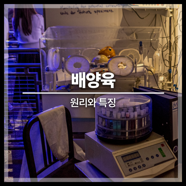 배양육 기술 원리 특징 장점 단점 : 네이버 블로그