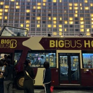 홍콩 나이트버스 투어 : 구매처/ 버스노선(홍콩섬/ 구룡/ 인력거버스 H2K)