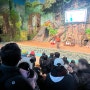 에버랜드 나비 체험관 앵무새 공연 슈퍼윙스 동물원 아이와 볼만한 것