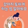 강아지 토하게 하는 법 알아봐요