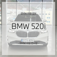 BMW 520i 화이트 에스프레소브라운 (BMW 사상전시장)