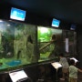 동래 "부산해양자연사박물관" / 부산실내가볼만한곳~ 악어, 뱀, 거북이, 도마뱀도 있어요 !