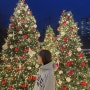서울 근교 포천 크리스마스 데이트 카페 추천 베이커리 카페 숲속의 제빵소