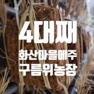 군위 화산마을 메주가격 ▶ 재래식 메주만들기 in 한국기행