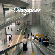 싱가포르 여행 | 공항에서 시내까지 이동하는 방법, 입국 절차 Arrival card 작성법, 가성비 캡슐 호텔 후기