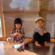 아기랑 오키나와 다다미방 숙소, 타비노테이타쿠 호만 컨셉 나키진 료칸