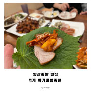 [양산맛집추천] 삼호동맛집 박가네 왕족발