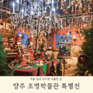 실내 서울 근교 가볼만한 곳 크리스마스 트리 명소 양주 조명박물관