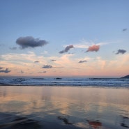 [대만5박6일] 타이베이에서 쟈오시(자오시 여행⭐️🚞) 타이베이의 바다🏄♀️🌊 oa hotel, 와이아오해변, 터우청역 음식점, 과일, 빵집-1