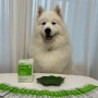 [상품협찬] 강아지 관절엔 펫탠다드 올인원 조인트 관절 영양제 체험 후기