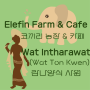 치앙마이 코끼리 카페와 란나 양식의 사원 Wat Intharawat