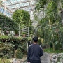 대전 겨울 가볼만한곳 한밭수목원 열대식물원 실내데이트