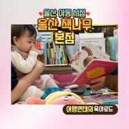울산 아기책 전문 서점 유아동전집도서 울산 책나무 본점