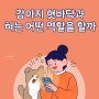 강아지 혓바닥과 혀는 어떤 역할을 할까