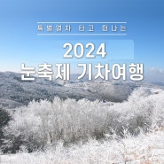 특별열차-관광열차 [국내당일기차열차] 2024년 1월 2월 [ 국악와인열차 / 에코레일열차 / E-트레인(교육열차) /E-train ]