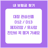 대장 관상선종 D12 D13 제자리암진단비 꼭 챙겨가세요.