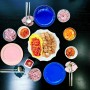 삼시세끼 가정식백반 한식 반찬 백종원 수육 보쌈 레시피 무 말랭이 김치 점심 저녁 메뉴