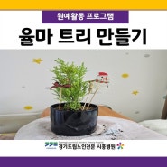 경기도립노인전문시흥병원 <율마 트리 만들기>