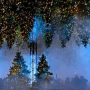 서울숲을 수놓는 8만개의 빛과 음악‘겨울빛, 윈터라이트(WINTERLIGHTS)’