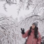 평창 가볼만한 곳 용평리조트 발왕산 케이블카 겨울 눈꽃 산행