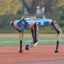 사족 보행 로봇 ‘KAIST 하운드(Hound)’ 100미터 달리기 기네스 세계 기록 인정