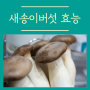 새송이버섯의 효능과 칼로리 영양성분까지 알아봐요