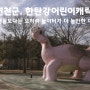 경기, 연천군. 한탄강 관광지 어린이캐릭터공원
