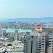 일본 오사카 5박6일 여행 교통 좋은 호텔 추천! 유니버셜, 고시엔 가기 편한 우메다역 한큐레스파이어 오사카🩷