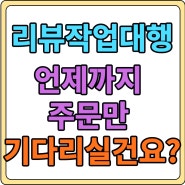 리뷰업체 작업대행 자사몰 마케팅 추가작업의뢰