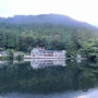 일본 후쿠오카 뚜벅이 여행 3박4일🐢(유후인, 킨린 호수,다이소)