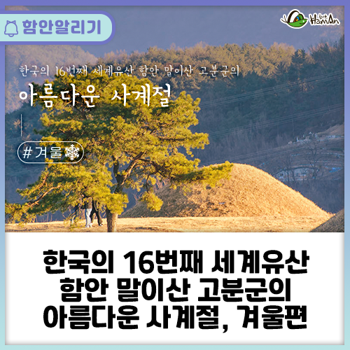 한국의 16번째 세계유산 함안 말이산 고분군의 아름다운...