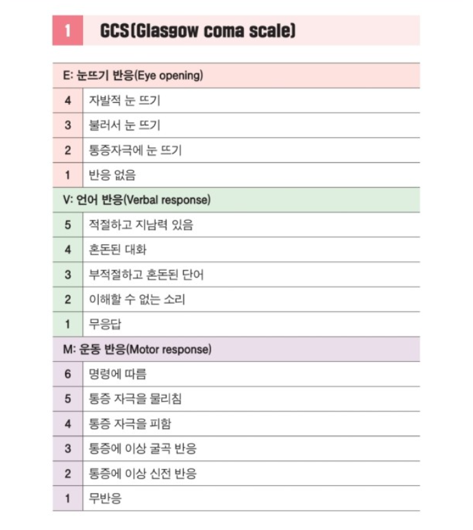 대뇌의 구조와 의식사정GCS with 12뇌신경 : 네이버 블로그