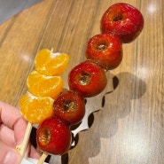 [산사나무 탕후루 이대점] 이색디저트 산사나무열매 탕후루와 미니탕후루 후기