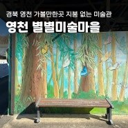 경북 영천 아이와 가볼 만한 곳 별별 미술마을 (가래실 문화마을)