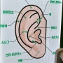 귀 피어싱 위치, 염증 없는 부위 ‘트라거스’ 귀뚫는 고통 생생한 후기, 관리 방법