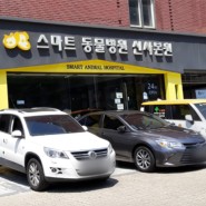 서울 신사동 스마트동물병원
