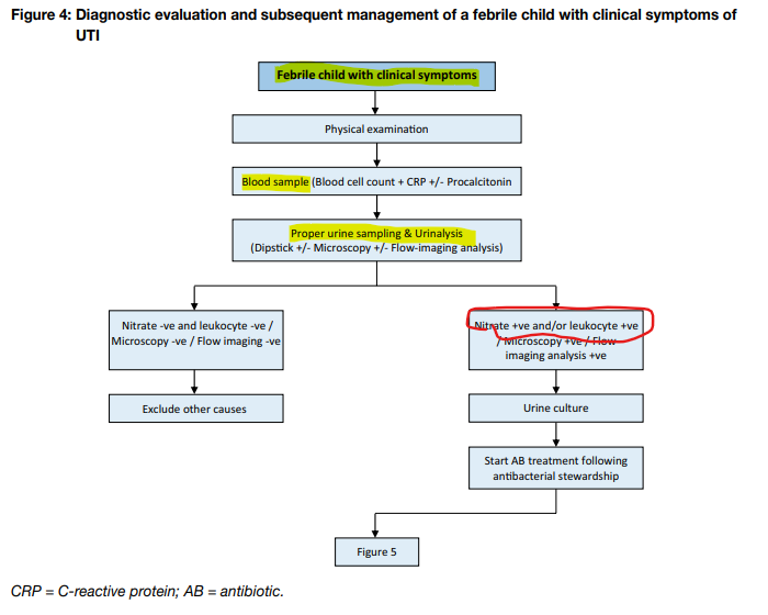 소아 요로감염(Pediatric UTI)의 진단과 검사 : 네이버 블로그