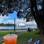 17년만에 다시 찾은 호주(12) - 시드니 최고 뷰포인트, 로열 보태닉 가든에서 즐기는 스프리츠 한잔의 여유!!
