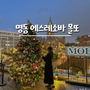 명동성당 뷰 카페 | 서울 명동 ‘몰또 에스프레소바’ (트리 포토존 웨이팅)