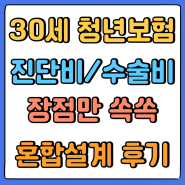 30세 청년보험 3대진단비 수술비 장점만 쏙쏙 골라담은 혼합설계 후기