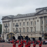 🇬🇧 영국 5일차: 런던 버킹엄궁전 근위병교대식, 디즈니스토어, festok젤라또,PHO S82 쌀국수, 히드로공항 라운지