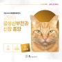 24시 휴동물의료센터 - 고양이 급성신부전과 신장 종양 (신장세포암종, RCC)