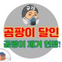 인천 아파트 방 창고 곰팡이 제거 시공 사례
