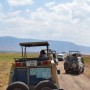 아프리카 여행 탄자니아 세렝게티 국립공원 사파리 투어 10월 해외여행지 추천