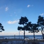 [12월 여행] 강원도 양양탄산온천 여행기_내돈
