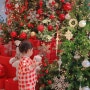 서귀포 크리스마스 카페 가볼만한곳 아기랑 🎄 대형 트리 서울앵무새 제주점
