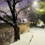 2023 눈오는날 · 죽동 · 반석천 산책길_제로에너지하우스zeeHome