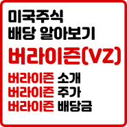 [미국 배당주] VZ 배당금 : 통신주 대표 버라이즌(VZ) 배당금 배당수익률 알아보기